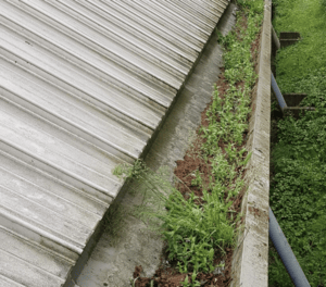 Happy customers in Flitwick who trust The Roof Moss Cleaners for gutter cleaning services